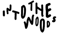 01b7b6b8-b000-4403-8f69-fc733cf2a21f